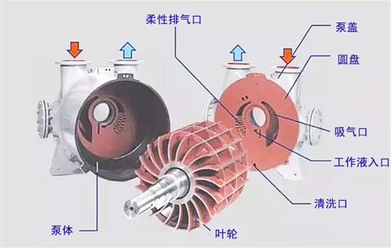 水環(huán)式真空泵1