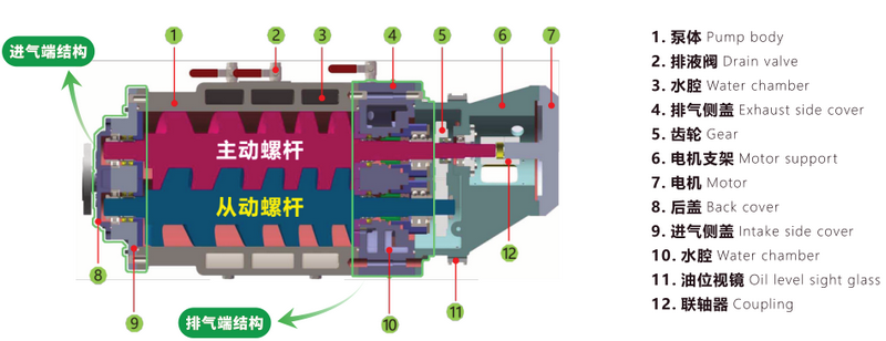 螺桿泵內部結構圖